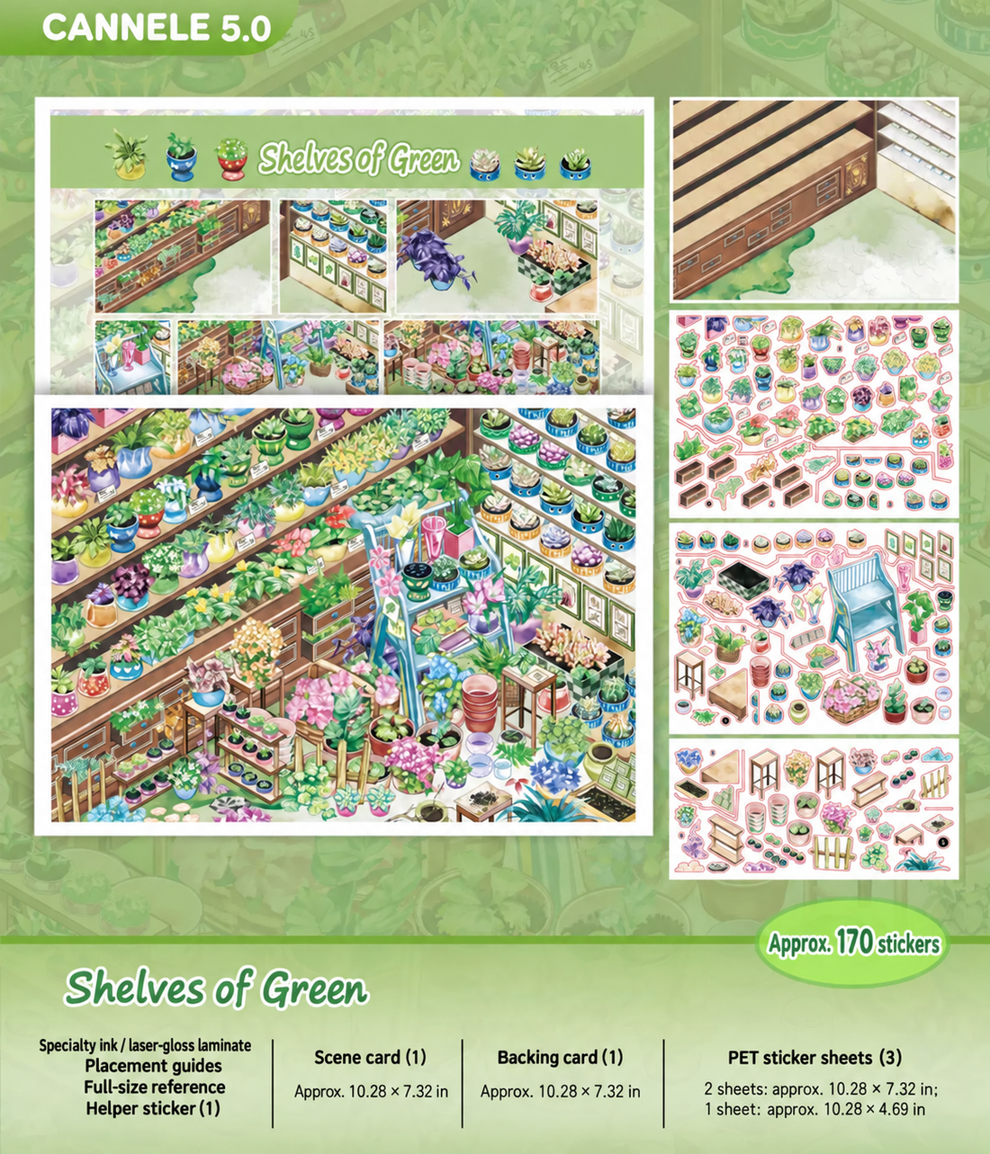 Shelves of Green